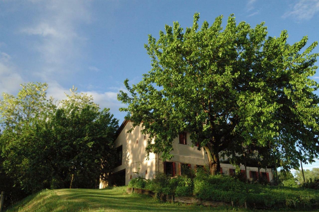 Villa Ca Borgh à Santa Maria di Feletto Extérieur photo